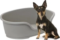 Flamingo - Hondenmand Domus - Grijs - M - 70 X 47 X 22 Cm 10 Flamingo - Hondenmand Domus - Grijs - M - 70 X 47 X 22 Cm -Hondenbenodigdheden 1200x813 4