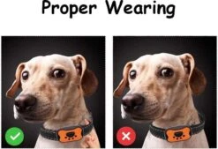 Merkloos Anti Blafband Voor Honden Blafband Anti Blaf Apparaat Blafband Zonder Schok - Diervriendelijk -Hondenbenodigdheden 1200x822