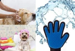 Vacht Verzorgingsborstel Voor Huisdieren - Blauw - LimitedDeals - Voor Honden Katten Konijnen Paarden - Tevens Massage Handschoen Voor Dieren! - Goed Voor De Verzorging Van De Vacht -Hondenbenodigdheden 1200x825