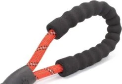 Comfortabele Hondenriem Met Gevoerd Handvat – Stevige Nylon Hondenlijn – Riem Voor Honden 9 Comfortabele Hondenriem Met Gevoerd Handvat – Stevige Nylon Hondenlijn – Riem Voor Honden -Hondenbenodigdheden 1200x832 2