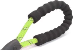 Comfortabele Hondenriem Met Gevoerd Handvat – Stevige Nylon Hondenlijn – Riem Voor Honden -Hondenbenodigdheden 1200x832
