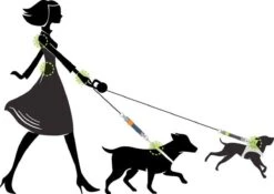 WAW Easy Dog Walk 'schokdemper' Zwart - XL - 25-40 Kg 13 WAW Easy Dog Walk 'schokdemper' Zwart - XL - 25-40 Kg -Hondenbenodigdheden 1200x852