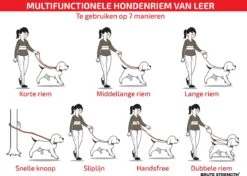 Multifunctionele Hondenriem - 220cm - Bruin - Leren Hondenriem - 100% Volnerfleer - Hondenriem Leer - Leiband Hond -Hondenbenodigdheden 1200x853 1