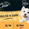 Cesar Selectie In Gelei Maaltijdzakjes Honden Natvoer - Vlees En Groenten In Gelei - 48 X 100g -Hondenbenodigdheden 1200x861 1