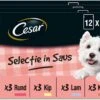 Cesar Selectie In Saus Maaltijdzakjes Honden Natvoer - Vlees En Groenten In Saus - 48 X 100 Gr -Hondenbenodigdheden 1200x861