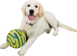 Wobble Wag Giggle Bal+ Honden Touw (30cm)- Honden Bal - Honden Speeltjes - Honden Speelgoed Intelligentie -Hondenbenodigdheden 1200x870 3