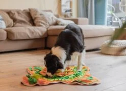 SNUFFIES® Snuffelmat Belle 60x50cm – Snuffelmat – Snuffelmatten - Honden Speelgoed - Honden Speelgoed Intelligentie - Snuffelmat Hond - Snuffelmatten – Hersenwerk – Honden Speeltjes – Puppy - Puppy Speelgoed - Honden Denkspelletjes 18 SNUFFIES® Snuffelmat Belle 60x50cm – Snuffelmat – Snuffelmatten - Honden Speelgoed - Honden Speelgoed Intelligentie - Snuffelmat Hond - Snuffelmatten – Hersenwerk – Honden Speeltjes – Puppy - Puppy Speelgoed - Honden Denkspelletjes -Hondenbenodigdheden 1200x872 4