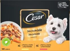 Cesar Selectie In Gelei Maaltijdzakjes Honden Natvoer - Vlees En Groenten In Gelei - 48 X 100g -Hondenbenodigdheden 1200x874 1