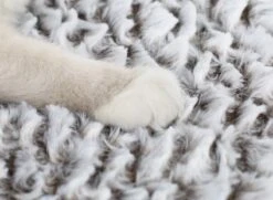 Merkloos Zelfverwarmende Dierendeken Zonder Stroom Thermo Deken Hond Kat Inclusief Adreslabel 70 X 47 Cm -Hondenbenodigdheden 1200x878 2