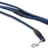 Merkloos Slipriem - Nylon - Riem Voor Hond - Blauw -Hondenbenodigdheden 1200x884 1