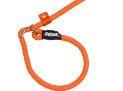 Rebel Petz - Honden Trainingslijn Met Halsband - Taupe, Zwart, Groen & Oranje - Maat Small Of Large - Kleur: Oranje, Maat: Large 39 Rebel Petz - Honden Trainingslijn Met Halsband - Taupe, Zwart, Groen & Oranje - Maat Small Of Large - Kleur: Oranje, Maat: Large -Hondenbenodigdheden 1200x893