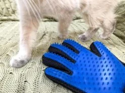 Vacht Verzorgingsborstel Voor Huisdieren - Blauw - LimitedDeals - Voor Honden Katten Konijnen Paarden - Tevens Massage Handschoen Voor Dieren! - Goed Voor De Verzorging Van De Vacht -Hondenbenodigdheden 1200x897 2