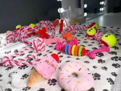 Honden Speelgoed - Puppy Speelgoed - 11 Stuks - Roze - 1 Speeltje Gratis - Honden Knuffel - Trektouw - Honden Speeltjes 12 Honden Speelgoed - Puppy Speelgoed - 11 Stuks - Roze - 1 Speeltje Gratis - Honden Knuffel - Trektouw - Honden Speeltjes -Hondenbenodigdheden 1200x898 6