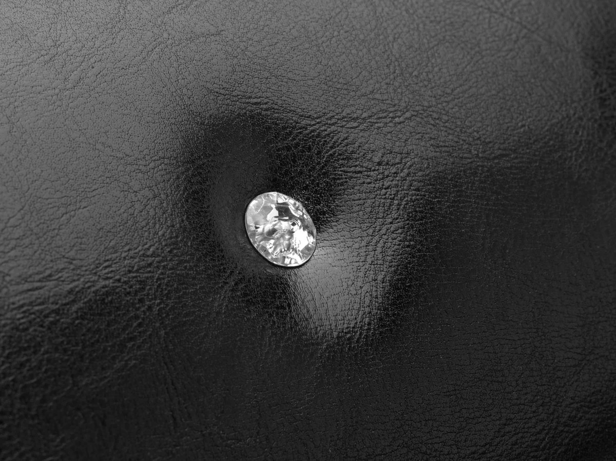 Roefie - Luxe Hondensofa CHIQUE - Zwart - Eco-leer 4 Roefie - Luxe Hondensofa CHIQUE - Zwart - Eco-leer - Afbeelding 2