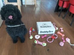 Honden Speelgoed - Puppy Speelgoed - 11 Stuks - Roze - 1 Speeltje Gratis - Honden Knuffel - Trektouw - Honden Speeltjes 11 Honden Speelgoed - Puppy Speelgoed - 11 Stuks - Roze - 1 Speeltje Gratis - Honden Knuffel - Trektouw - Honden Speeltjes -Hondenbenodigdheden 1200x899 18