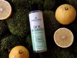 Fresh & Fluffy - Hondenshampoo Aloë Vera / Bergamot - Geschikt Voor Alle Hondenrassen - Natuurlijke & Vegan Voor De Gevoelige Huid - 250ml 8 Fresh & Fluffy - Hondenshampoo Aloë Vera / Bergamot - Geschikt Voor Alle Hondenrassen - Natuurlijke & Vegan Voor De Gevoelige Huid - 250ml -Hondenbenodigdheden 1200x900 5