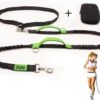 Filo Elastische Hondenriem Groot - Hardlopen En Wandelen - Hardloopriem Hond Handsfree Met Heuptasje - Looplijn Met Heupriem - Canicross Gordel Honden - Riemen - Heupgordel - Leiband -Hondenbenodigdheden 1200x908 1