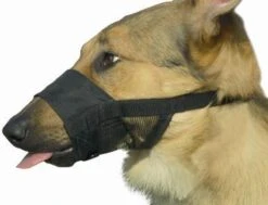 Beeztees Comfort Muilband - Hond - M - 15-20 Cm 10 Beeztees Comfort Muilband - Hond - M - 15-20 Cm -Hondenbenodigdheden 1200x918 1