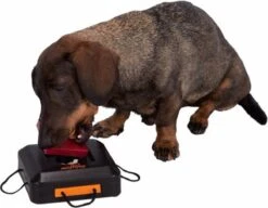 Trixie Dogtoy Dog Activity Strategy Game Gamble Box - Piepend Speelgoed - 15cm X 15cm X 9cm - Zwart/rood/oranje -Hondenbenodigdheden 1200x935 4