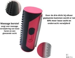 Ondervacht Kam- Hond Borstel - Klittenkam Voor Honden En Katten – Verwijderd Klitten En Voorkomt Verharing- Hondenkam Langharig - Hondenborstel Kortharig- Huisdierborstel - Vachtverzorging- Hondenborstel Rood 10 Ondervacht Kam- Hond Borstel - Klittenkam Voor Honden En Katten – Verwijderd Klitten En Voorkomt Verharing- Hondenkam Langharig - Hondenborstel Kortharig- Huisdierborstel - Vachtverzorging- Hondenborstel Rood -Hondenbenodigdheden 1200x938 1