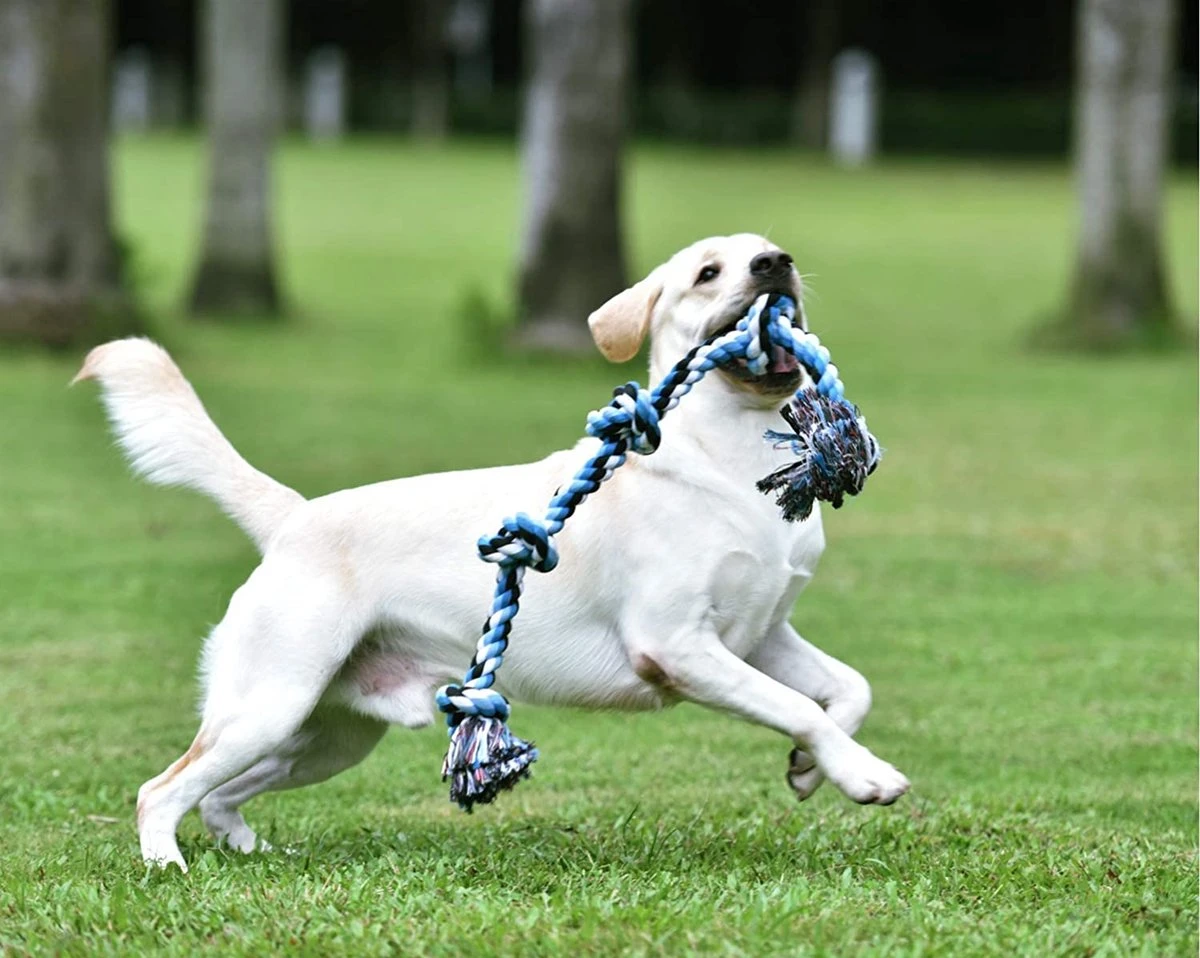 Viervoetjes - BigBoi - XXL - Honden Touw - 90cm - Honden Speelgoed - HondenSpeeltjes - Blauw/Wit/Zwart 5 Viervoetjes - BigBoi - XXL - Honden Touw - 90cm - Honden Speelgoed - HondenSpeeltjes - Blauw/Wit/Zwart - Afbeelding 3