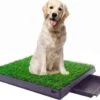 Merkloos Maoo Premium Hondentoilet - Geurbestendig & Hondvriendelijk Kunstgras - Uitneembare Opvangbak - Indoor En Outdoor - 63 X 50 Cm 1 Merkloos Maoo Premium Hondentoilet - Geurbestendig & Hondvriendelijk Kunstgras - Uitneembare Opvangbak - Indoor En Outdoor - 63 X 50 Cm -Hondenbenodigdheden 1200x963 2