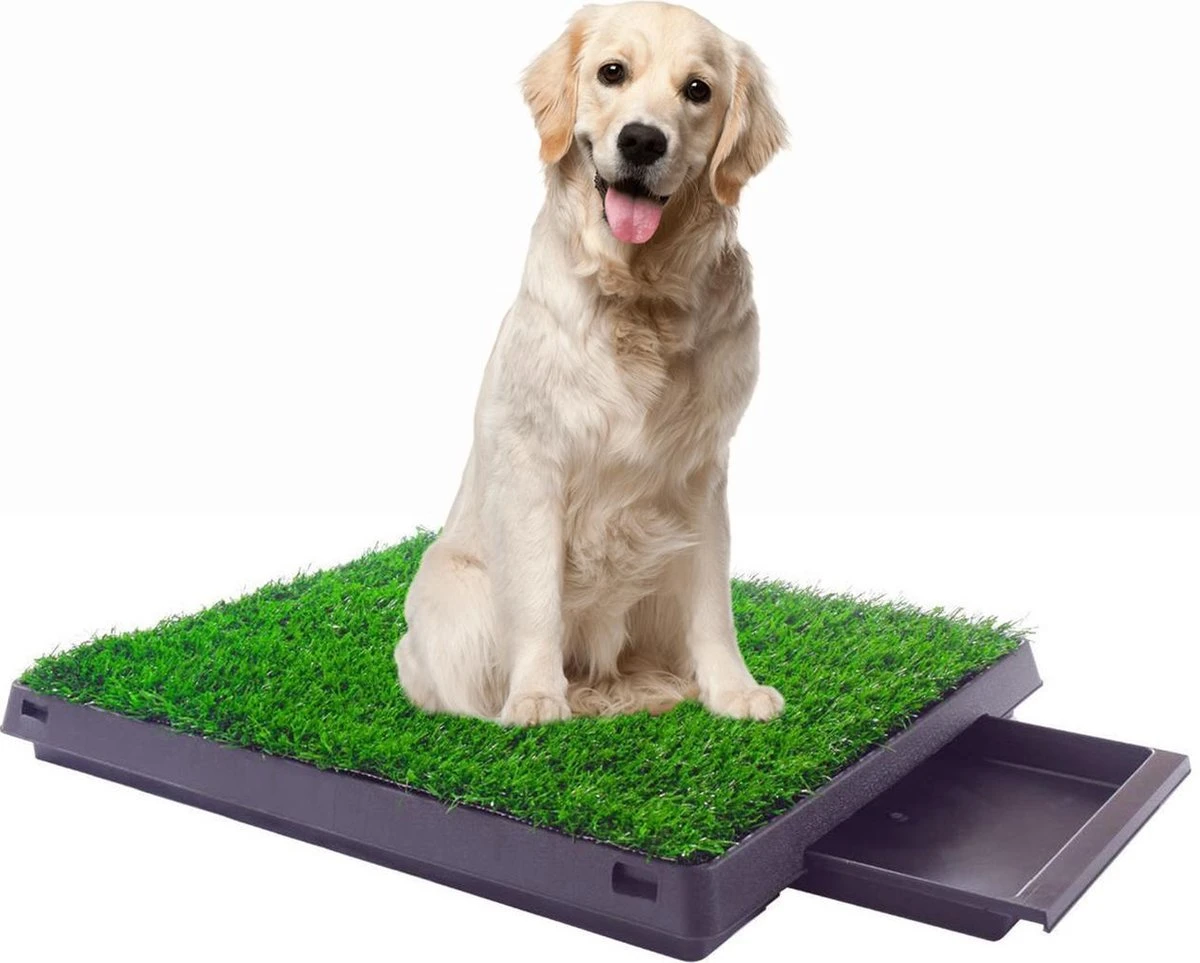 Merkloos Maoo Premium Hondentoilet - Geurbestendig & Hondvriendelijk Kunstgras - Uitneembare Opvangbak - Indoor En Outdoor - 63 X 50 Cm 3 Merkloos Maoo Premium Hondentoilet - Geurbestendig & Hondvriendelijk Kunstgras - Uitneembare Opvangbak - Indoor En Outdoor - 63 X 50 Cm