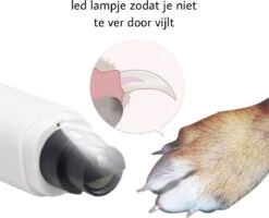 By Fredge® Elektrische Nagelvijl Voor Huisdieren - Nagel Trimmer Hond, Kat En Konijn - Nagelvijl Huisdieren - Nagel Vijl Kat - 100% Veilig - USB Oplaadbaar - Lage Vibratie En Geluid - Draadloos - Wit 12 By Fredge® Elektrische Nagelvijl Voor Huisdieren - Nagel Trimmer Hond, Kat En Konijn - Nagelvijl Huisdieren - Nagel Vijl Kat - 100% Veilig - USB Oplaadbaar - Lage Vibratie En Geluid - Draadloos - Wit -Hondenbenodigdheden 1200x970