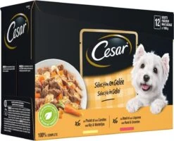 Cesar Selectie In Gelei Maaltijdzakjes Honden Natvoer - Vlees En Groenten In Gelei - 48 X 100g -Hondenbenodigdheden 1200x970 4