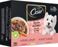 Cesar Selectie In Saus Maaltijdzakjes Honden Natvoer - Vlees En Groenten In Saus - 48 X 100 Gr 7 Cesar Selectie In Saus Maaltijdzakjes Honden Natvoer - Vlees En Groenten In Saus - 48 X 100 Gr -Hondenbenodigdheden 1200x972 3