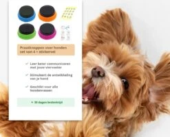Praatknop Hond – Set Van 4 - Honden Speelgoed – Honden Training – Dogbuttons – Huisdier – Puppy Training - Hondenspeelgoed Intelligentie - Hond Opvoeden 19 Praatknop Hond – Set Van 4 - Honden Speelgoed – Honden Training – Dogbuttons – Huisdier – Puppy Training - Hondenspeelgoed Intelligentie - Hond Opvoeden -Hondenbenodigdheden 1200x972 5