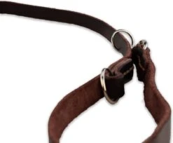 Multifunctionele Hondenriem - 220cm - Bruin - Leren Hondenriem - 100% Volnerfleer - Hondenriem Leer - Leiband Hond -Hondenbenodigdheden 1200x993