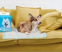 Nobleza 48LXB - Puppy Training Pads - 60 X 90 Cm - Zindelijkheidstraining - 100 Stuks -Hondenbenodigdheden 1200x997 4