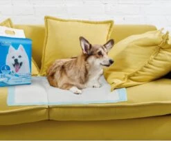 Nobleza 48LXE - Puppy Training Pads - 60 X 90 Cm - Zindelijkheidstraining - 120 Stuks -Hondenbenodigdheden 1200x997 5