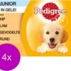 Pedigree Pouch Junior Multipack - Hondenvoer - 4 X 12x100 G 1 Pedigree Pouch Junior Multipack - Hondenvoer - 4 X 12x100 G -Hondenbenodigdheden 1200x997 6