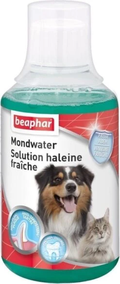 Beaphar Mondwater - 250 Ml 11 Beaphar Mondwater - 250 Ml -Hondenbenodigdheden 509x1200 2