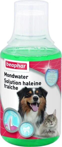 Beaphar Mondwater - 250 Ml 10 Beaphar Mondwater - 250 Ml -Hondenbenodigdheden 513x1200