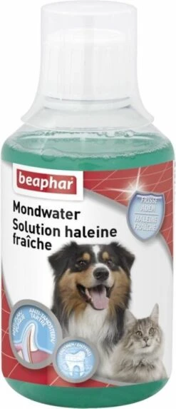 Beaphar Mondwater Hond/Kat - Gebitsverzorging - 3 X 250 Ml 9 Beaphar Mondwater Hond/Kat - Gebitsverzorging - 3 X 250 Ml -Hondenbenodigdheden 517x1200 1