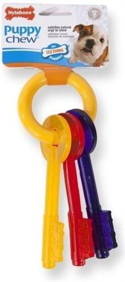 Nylabone Puppy Teething Key Flexible Geel&Blauw&Rood - Hondenspeelgoed - Wolf Tot 16kg 19 Nylabone Puppy Teething Key Flexible Geel&Blauw&Rood - Hondenspeelgoed - Wolf Tot 16kg -Hondenbenodigdheden 532x1200 1