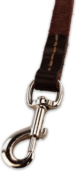 Multifunctionele Hondenriem - 220cm - Bruin - Leren Hondenriem - 100% Volnerfleer - Hondenriem Leer - Leiband Hond -Hondenbenodigdheden 536x1200