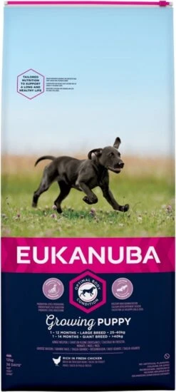 Eukanuba Dog Puppy & Junior - Grote Rassen - Kip - Droogvoer - 12 Kg 13 Eukanuba Dog Puppy & Junior - Grote Rassen - Kip - Droogvoer - 12 Kg -Hondenbenodigdheden 539x1200 2