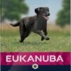 Eukanuba Dog Adult - Large Breed - Kip - Hondenvoer - 12 Kg -Hondenbenodigdheden 589x1200 2
