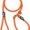 Rebel Petz - Honden Trainingslijn Met Halsband - Taupe, Zwart, Groen & Oranje - Maat Small Of Large - Kleur: Oranje, Maat: Large -Hondenbenodigdheden 706x1200