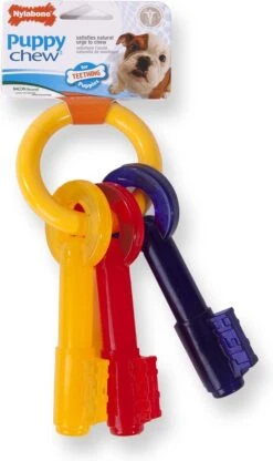 Nylabone Puppy Teething Key Flexible Geel&Blauw&Rood - Hondenspeelgoed - Wolf Tot 16kg 29 Nylabone Puppy Teething Key Flexible Geel&Blauw&Rood - Hondenspeelgoed - Wolf Tot 16kg -Hondenbenodigdheden 713x1200 2