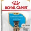 Royal Canin German Shepherd Puppy - Hondenvoer - 12 Kg 1 Royal Canin German Shepherd Puppy - Hondenvoer - 12 Kg -Hondenbenodigdheden 717x1200