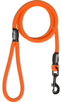 Rebel Petz - Sterke Gevlochten Hondenlijn Van Touw - Kleur: Oranje, Maat: Large -Hondenbenodigdheden 730x1200