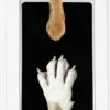 PrintMe - Paw Print Pad - Groter Formaat - Pootafdruk Maken Van Hond Of Kat - Zeer Gemakkelijk - Verbeterd Formaat! - Geen Inkt Op De Poot Van Uw Huisdier- Groot - Leuk Als Cadeau! -Hondenbenodigdheden 750x1200 5