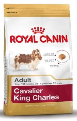 Royal Canin Cavalier King Charles Adult - Hondenvoer - 7,5 Kg -Hondenbenodigdheden 764x1200 1