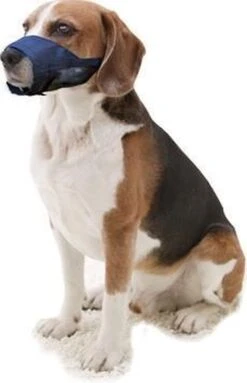 Pawise Muilkorf Adjustable - L - Size 9 Pawise Muilkorf Adjustable - L - Size -Hondenbenodigdheden 773x1200 1