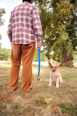 Chuckit! Ultra Ball M – Honden Speelgoed – Hondenbal– Drijft Op Water – Stuitert – Veilig Voor Gebit – Honden Bal – Ideaal Met De Ballenwerper – Ø 6cm – Oranje/Blauw – Hondenspeeltjes– 4-Pack -Hondenbenodigdheden 797x1200 5